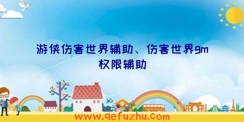 游侠伤害世界辅助、伤害世界gm权限辅助