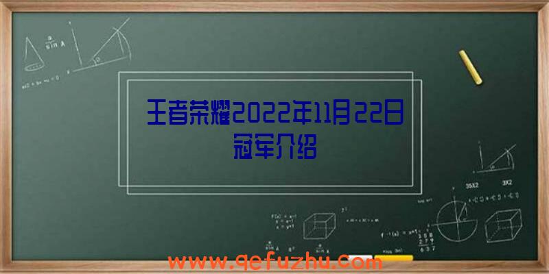 王者荣耀2022年11月22日冠军介绍