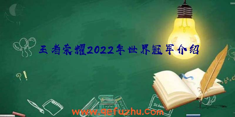 王者荣耀2022年世界冠军介绍