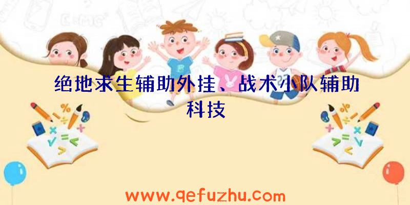 绝地求生辅助外挂、战术小队辅助科技