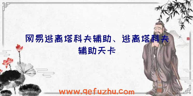 网易逃离塔科夫辅助、逃离塔科夫辅助天卡