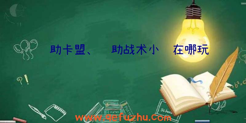 辅助卡盟、辅助战术小队在哪玩