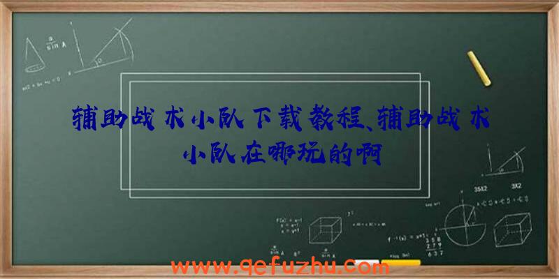 辅助战术小队下载教程、辅助战术小队在哪玩的啊