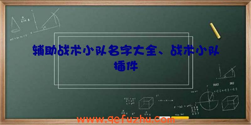 辅助战术小队名字大全、战术小队插件