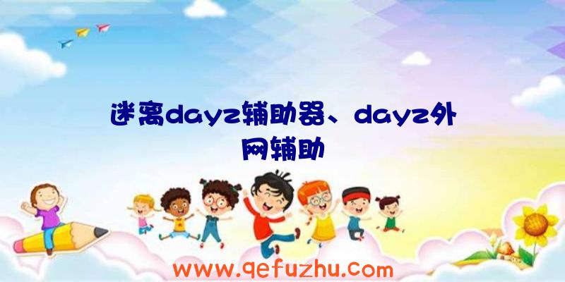 迷离dayz辅助器、dayz外网辅助