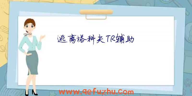 逃离塔科夫TR辅助