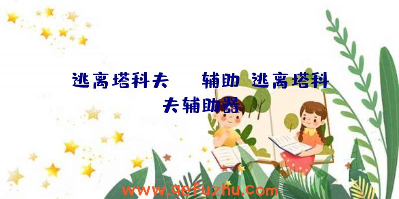 逃离塔科夫eft辅助、逃离塔科夫辅助器