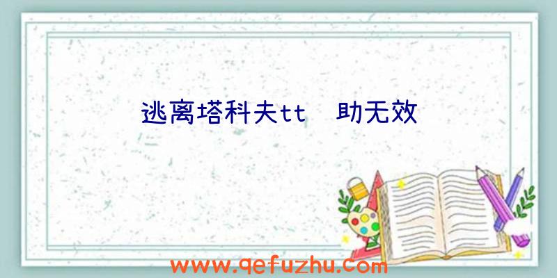 逃离塔科夫tt辅助无效