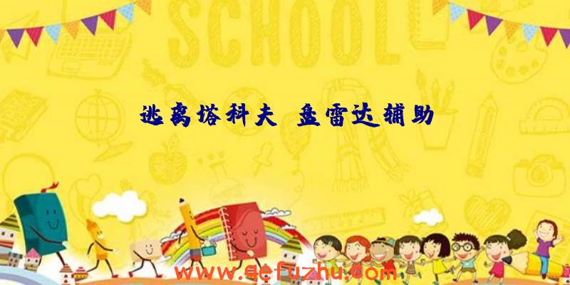 逃离塔科夫u盘雷达辅助