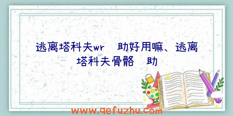 逃离塔科夫wr辅助好用嘛、逃离塔科夫骨骼辅助