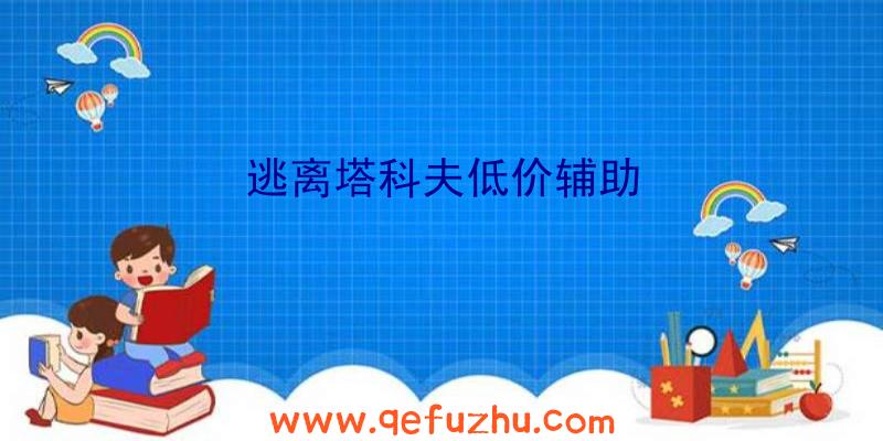 逃离塔科夫低价辅助