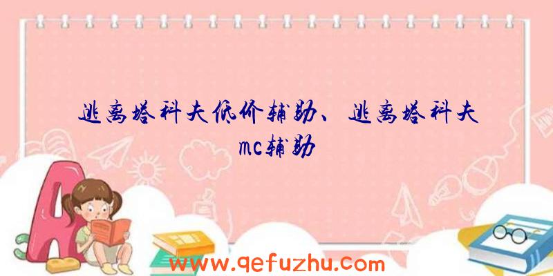 逃离塔科夫低价辅助、逃离塔科夫mc辅助