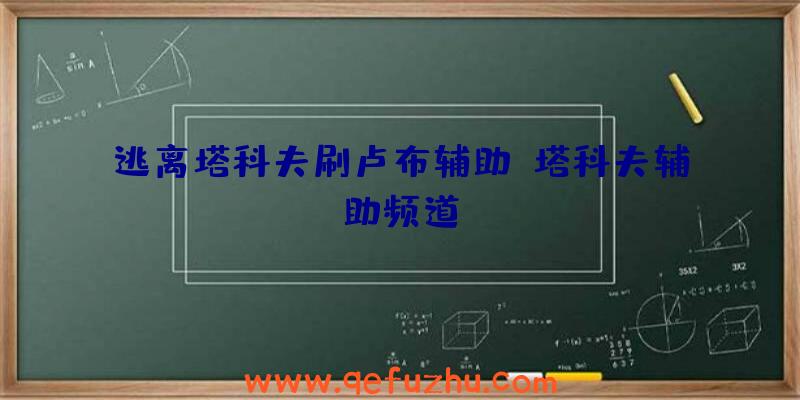逃离塔科夫刷卢布辅助、塔科夫辅助频道