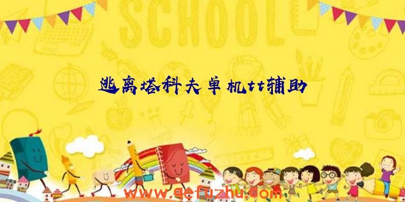 逃离塔科夫单机tt辅助