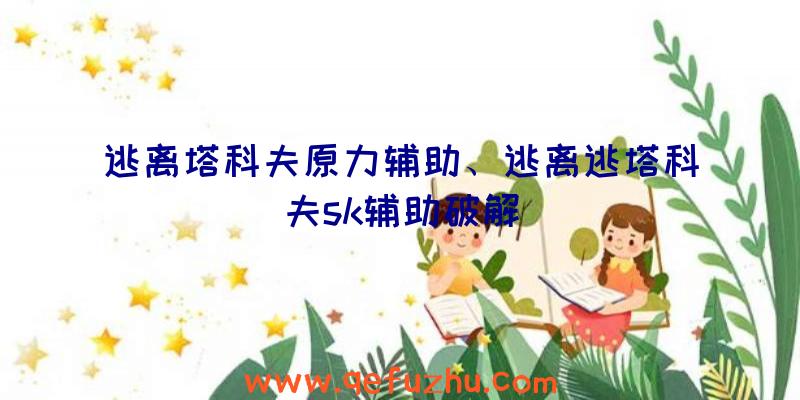 逃离塔科夫原力辅助、逃离逃塔科夫sk辅助破解