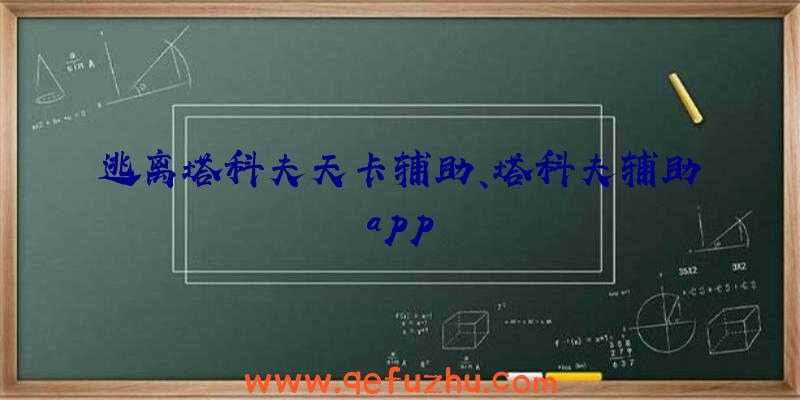 逃离塔科夫天卡辅助、塔科夫辅助app