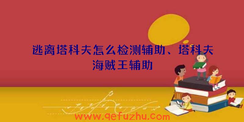 逃离塔科夫怎么检测辅助、塔科夫海贼王辅助