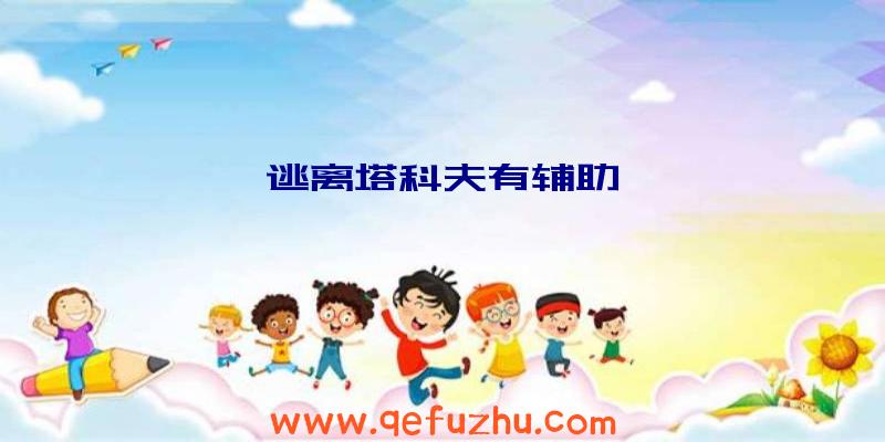 逃离塔科夫有辅助嘛