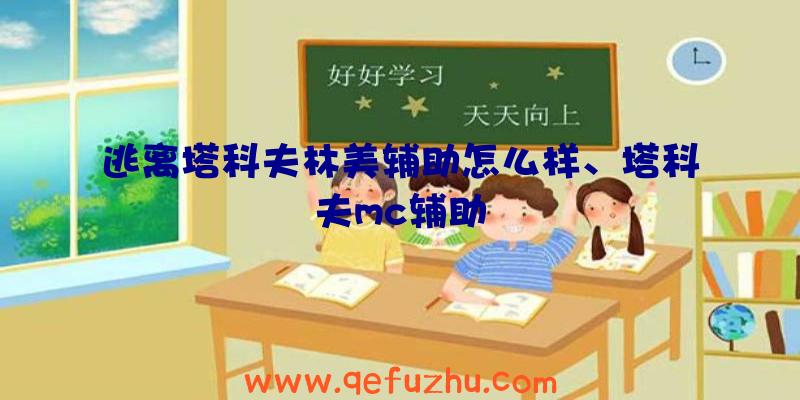 逃离塔科夫林美辅助怎么样、塔科夫mc辅助