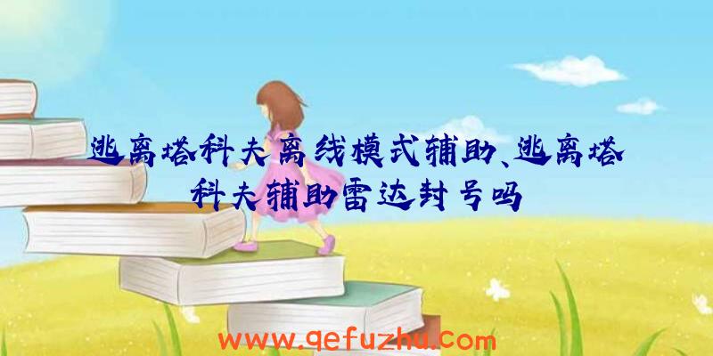 逃离塔科夫离线模式辅助、逃离塔科夫辅助雷达封号吗