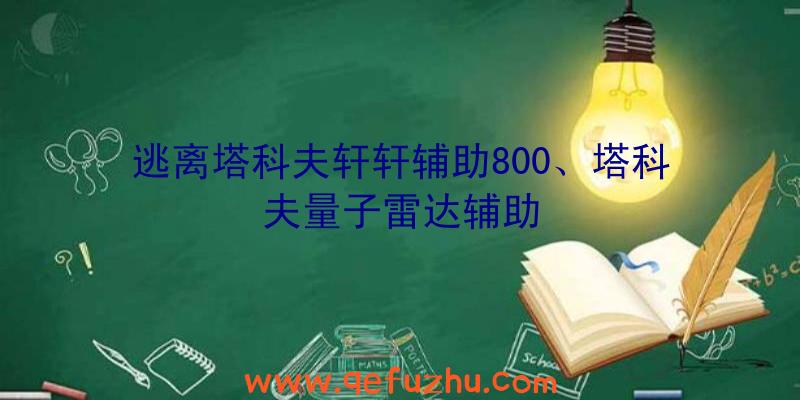 逃离塔科夫轩轩辅助800、塔科夫量子雷达辅助