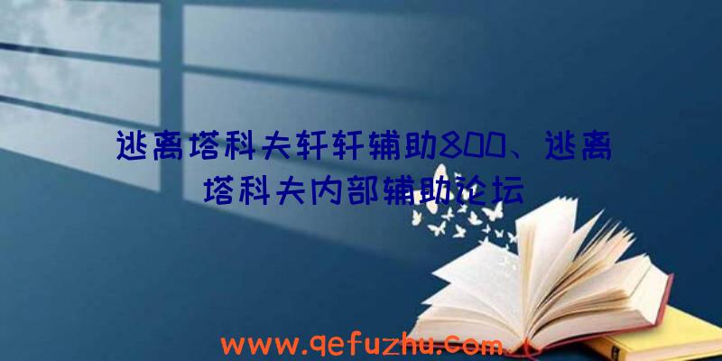 逃离塔科夫轩轩辅助800、逃离塔科夫内部辅助论坛