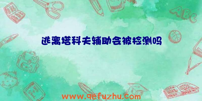 逃离塔科夫辅助会被检测吗