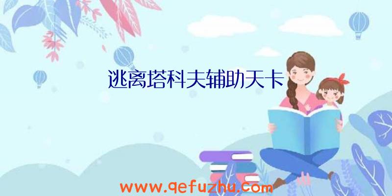 逃离塔科夫辅助天卡