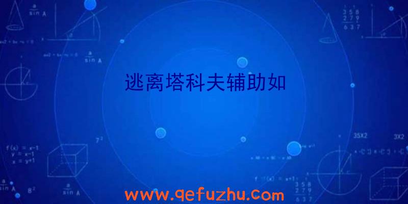 逃离塔科夫辅助如