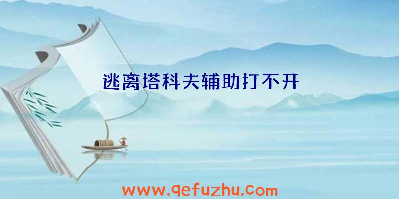 逃离塔科夫辅助打不开