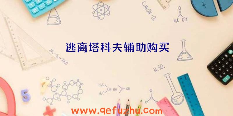 逃离塔科夫辅助购买