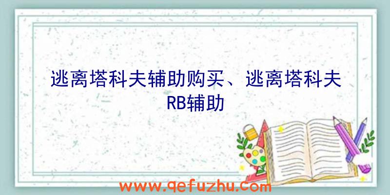 逃离塔科夫辅助购买、逃离塔科夫RB辅助