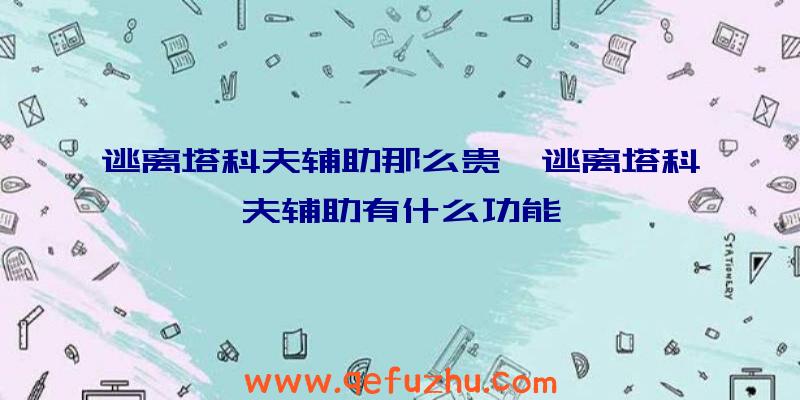 逃离塔科夫辅助那么贵、逃离塔科夫辅助有什么功能