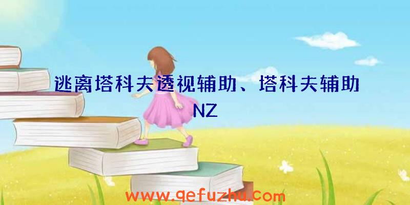 逃离塔科夫透视辅助、塔科夫辅助NZ