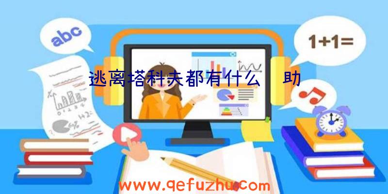 逃离塔科夫都有什么辅助