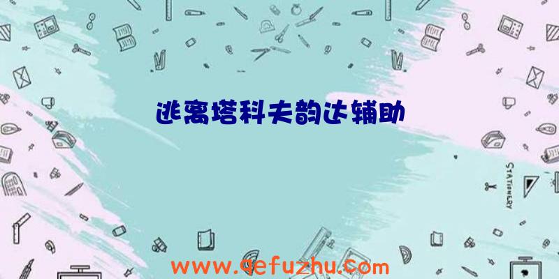 逃离塔科夫韵达辅助