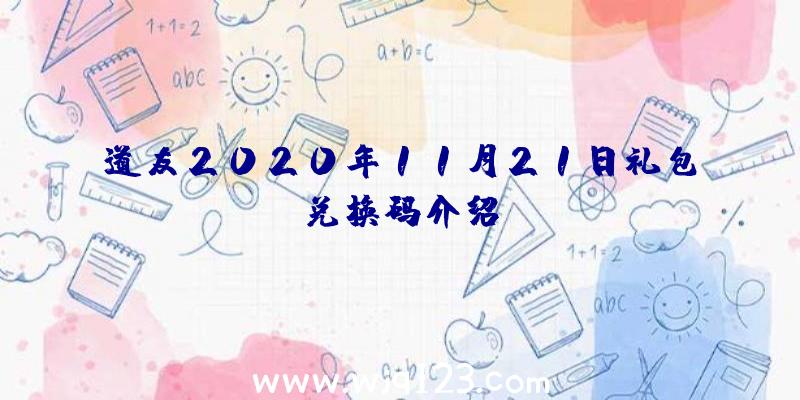 道友2020年11月21日礼包兑换码介绍