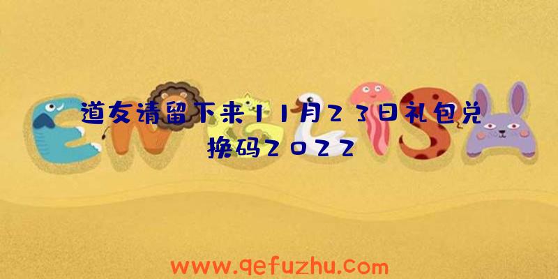 道友请留下来11月23日礼包兑换码2022