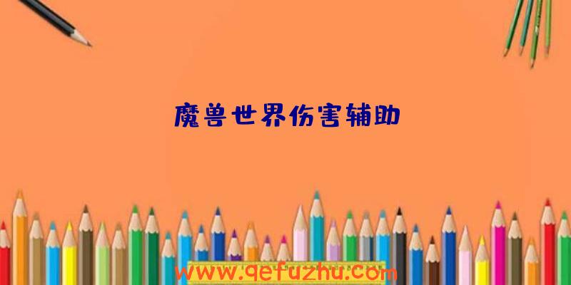 魔兽世界伤害辅助