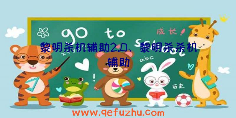 黎明杀机辅助2.0、黎明杀杀机辅助