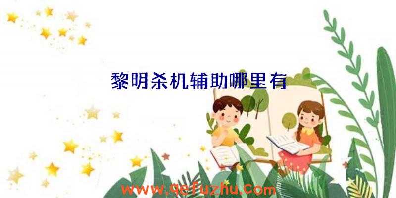 黎明杀机辅助哪里有