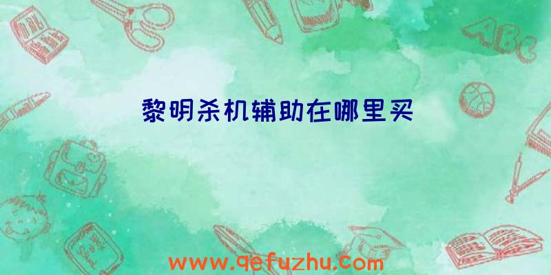 黎明杀机辅助在哪里买