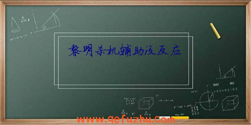 黎明杀机辅助没反应