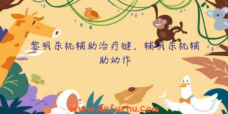 黎明杀机辅助治疗键、辅明杀机辅助动作