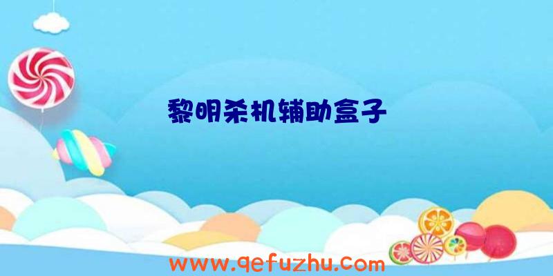 黎明杀机辅助盒子