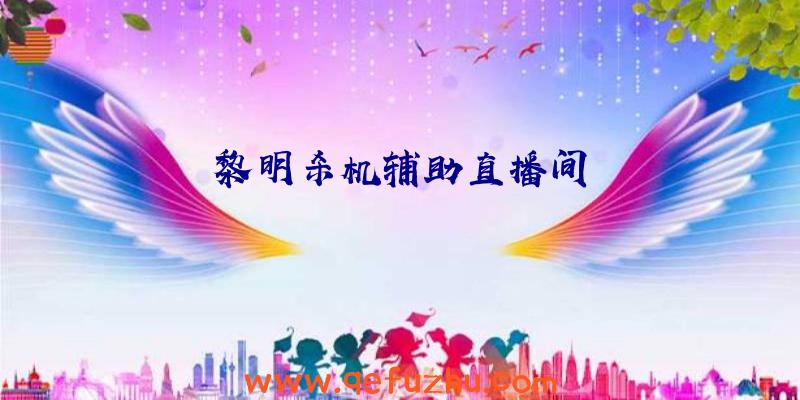 黎明杀机辅助直播间