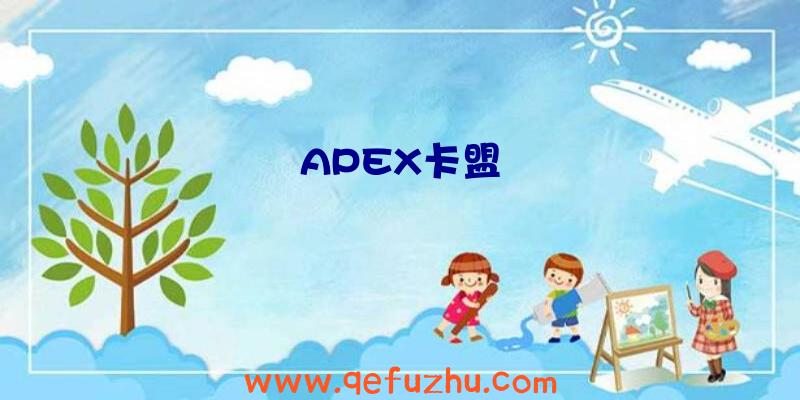 APEX卡盟