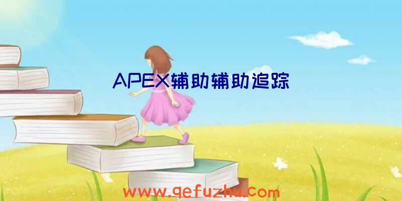 APEX辅助辅助追踪