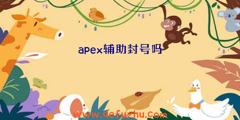 apex辅助封号吗