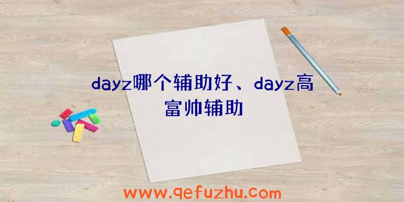 dayz哪个辅助好、dayz高富帅辅助
